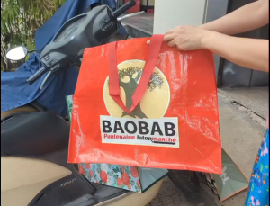 Túi bạt nhựa dệt chống thấm chịu được đồ nặng túi đi siêu thị XK size lớn 49x44cm xếp gọn. tx133b