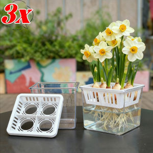 YESPERY 3Pcs 4-Grid Tulips Hydroponic Pot Acrylic Breathable Bulb Plants Flower Pot for Office Desktop Greenery