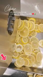 Máy thái lát rau củ quả chạy điện độ dày 01-15mm