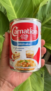 นมข้นจืด ตราคาร์เนชัน แบบกระป๋อง ขนาด 405 มล.