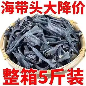 Dried Premium Thick Kelp Root