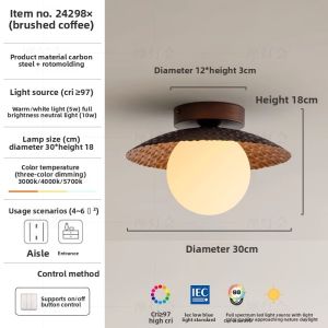 FANCY LAMP CLUB | Eye-Protection Full Spectrum Ceiling Light