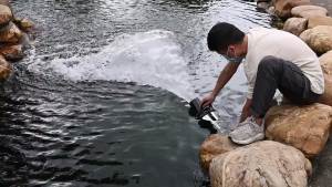💗🙋‍♀️💗日本锦鲤富士鱼池循环水泵大流量过滤节能假山瀑布循环鱼池潜水泵