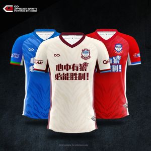 Custom Breathable Numbered Football Jersey