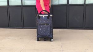 【sg ready stock】Multifunctional Retractable Folding Shopping Detachable Trolley Bag Vegetable Basket Practical Luggage Trolley 多功能折叠购物车手拉车 带轮子拉杆车