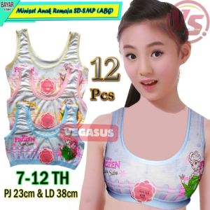 12Pcs Miniset Frozen Anak SD SMP Remaja Gadis ABG Motif Karakter Kartun-Miniset Motif -Vegasus Store