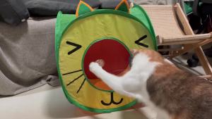 Bissap Pop Up Cat Cube Collapsible Cat Hideouts Play House Peek Too Cat Cave Tent with 3 Holes for Indoor Outdoor Kittens Cats Puppies Rabbits Hideaway Bed Toy