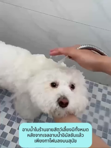 Maiyilai เครื่องทำสบู่สัตว์เลี้ยง soap dispenser อาบน้ําแมว USB อัตโนมัติ อาบน้ําหมา เหมาะสำหรับอาบน้ำสัตว์เลี้ยง