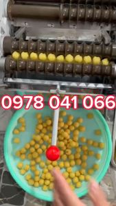 Máy vo viên hoàn DZ40 16/19/23mm máy làm viên tễ 369g