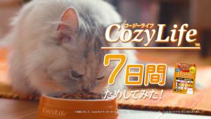 CIAO YAKI ยากิเนื้อสันในไก่ย่างไก่ และ ยากิปลาทูน่าย่าง ขนาด 25 g