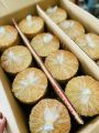 500g bánh kẹp mè ,.dừa. 