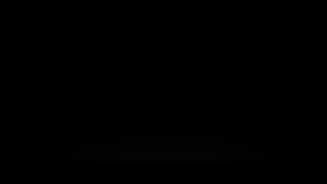 Filter Udara WIX Voxy Harrier Wish Sienta Saringan Udara WA6785