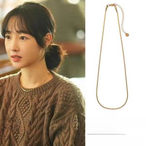 Elegant Simple Fashion Snake Bone Necklace for Women New 2025 Sweater Chain High End Versatile Alloy Jewelry Accessory