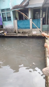 Pelampung Pancing Starlite Kawat Kayu (Isi 20 Pcs) | Sensitif Stabil dan Ramah Lingkungan!