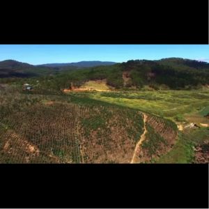 Boncafe กาแฟคั่วเม็ด บอนกาแฟ เอสเพรสโซ่ ดิเอโวโล่ เคเทอริ่ง 250 กรัม (ชนิดเม็ด) โรบัสต้า 100% คั่วเข้ม Espresso Diavolo Catering Bean 250g