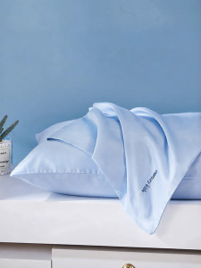 Mercury | Child-friendly Pair Cotton Luxurious Cartoon Pillow Case