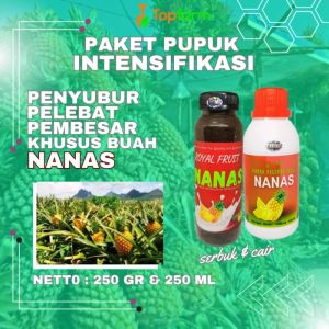Pupuk Untuk Tanaman Nanas: Solusi Optimal Pertumbuhan & Panen