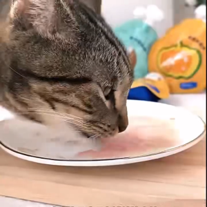 Cat Broth Pouch Complete Nutrition Supports Healthy and Delicious Hydration Cats & Dogs