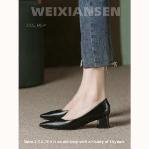 French Pointed Toe Nude Chunky Heel Womens Shoes 2025 Spring New Medium Heel Single Shoes Bridesmaid Work Shoes Women