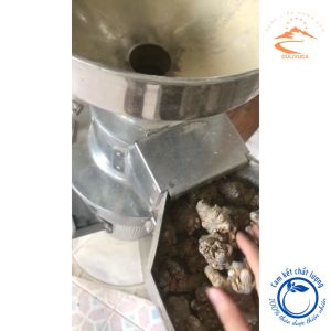 Bột Tam thất bắc khô nguyên chất Bột Tam thất Hà Giang chuẩn nghiền từ những củ tam thất nhiều năm tuổi hàng tuyển