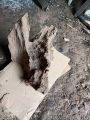 kayu rentek aquascape size S. 