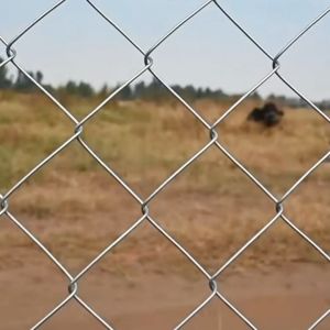 Cyclone Wire / Chain Link Fence in 2" Opening Farm Fence Diamond Wire Mesh Safety Mesh Thick Wires Pangbakod Copper Wire Price Cycle Helmet Price - Lazada