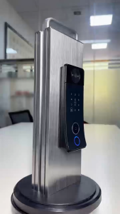 S6 Smart door lock with built-in face recognition S6智能门锁 呆锁