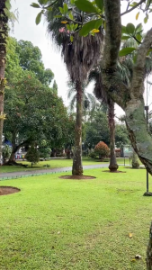 Cardina Health Squalene - Obat Fistula Ani/Anal Obat Benjolan Di Anus Sakit Anus Bengkak Abses Anus Bisul Di Anus Anus Bengkak Nyeri Di Anus Wasir Ambeien BPOM 7 HALAL MUI