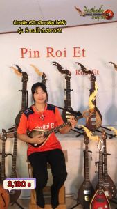 นอนมาก พิณไฟฟ้าไม้เนื้อแข็งคุณภาพดีทุกสภาพ รุ่น:Small 3 Sai 15 เฟรต 2 คอนแทค สีขาวดำ คู่แข็ง 23 กมม. สำหรับสีเงิน 23 กมม