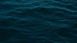 VOLT เสื้อแข่ง เหย้า ตราด เอฟซี สีแดง น้ำเงิน TRAT FC HOME RED JERSEYS 2024/25