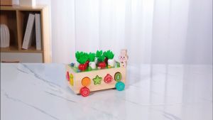 Montessori Wooden Garden Toy Preschool Fine Motor Skills Learning Games Shape Sorting Toys Gifts for Kids 4-6 Year Old