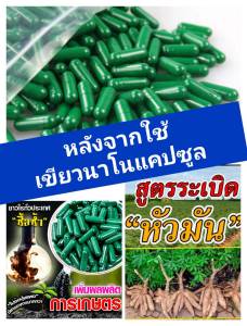 เขียวนาโน อาหารพืช บำรุงดิน ราคาส่งจากโรงงาน อันแน่นทุกแคปซูล