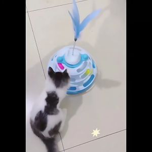 [Local Seller] Fun Cat Pet Toys Cat Crazy Ball Disk Interactive Amusement Plate Play Disc Trilaminar Turntable Cat Toy