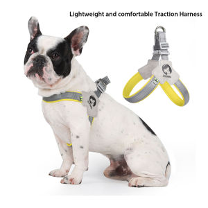 Pet Chest Strap Harness Step In Dog Harness Straps Adjustable Pet Harness for Small Medium Dogs Vest with Safety Buckle Y shape Dog Harness Pet supplies