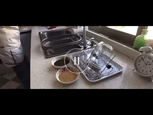 500/1000ml Seed Sprouting Kitwith Stainless Steel Stand Seed Sprouter Set for Broccoli Alfalfa Mung Bean