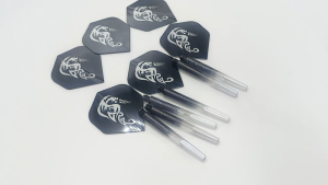 6Pcs Plastic 48mm 2BA Dart Shafts with 6Pcs Dart Flights Gradient Color Dart Accessories