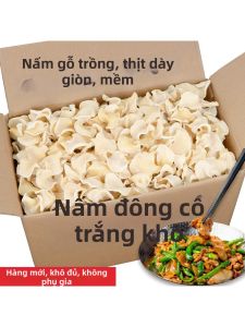 Nấm Ngọc Trắng Cao Cấp Không Chất Bảo Quản
