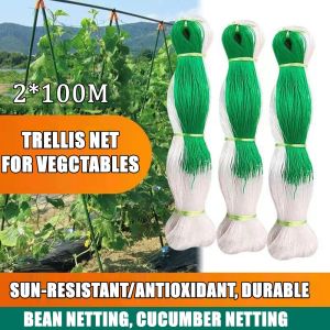 BUY 1 TAKE 1 2Mx100M Plant Climbing Net Trellis Durable Nylon Plant Net Gardening for Ampalaya Sitaw Fruit Vegetables Support Flower Climbing Vine Plant Patio Shape Indoor Outdoor Garden Plant Climbing Net Cucumber Vegetables Trellis Net Plant Support