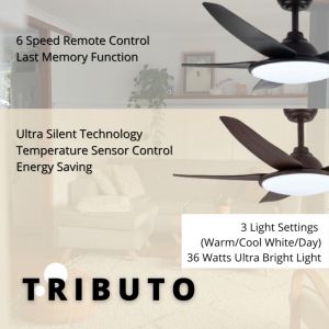 [✅SG Safety Mark & Authorized Seller] High Quality 46in / 56in DC Motor Extremely Bright 36W LED Ceiling Fan Tributo