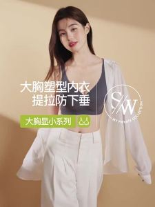 Secret World | Bust Minimizing Breast Support Anti-Sagging Seamless Bra