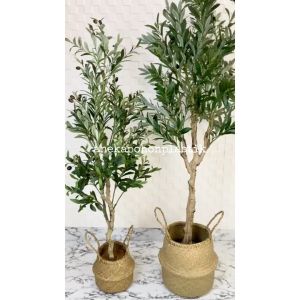 Pohon Daun Pohon Hias Zaitun Olive X3 T140 & T180 Latex Artificial Cover Anyaman Purun Belly Dekorasi Caffe