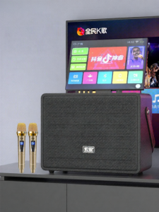 soaiy | Outdoor Indoor KTV Bluetooth Speaker Display