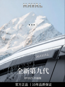 HANNENGDA | Rainproof Window Visors