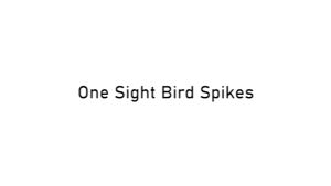 MLADEN 50cm Bird Spike Bird Repellent Mat Spike Steel Animal Repeller Chase Birds Device Dashboard Penghalang Burung Besi Tajam