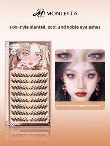 MONLEYTA | Natural Looking Thick Fake Eyelashes For Women European And American Style Comic Book Downward Flying Fox Clustered Eyelashes