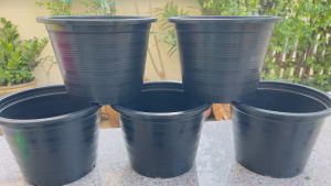 กระถางต้นไม้ 10” แพ็ค 5 ใบ สินค้าพร้อมส่งทันที