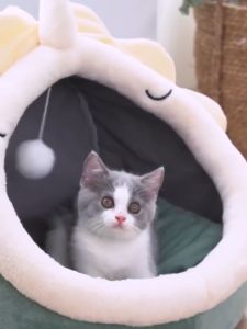 Indoor Warm Comfortable Removable Washable Pet Cat Bed House