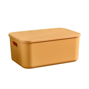 Multi-purpose Large Capacity Storage Box