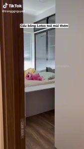 GẤU BÔNG GẤU DÂU GẤU LOTSO NẰM NGỦ HÀNG CAO CẤP XỊN XÒ CÓ MÙI THƠM BÔNG MỊN Ú NU DỄ THƯƠNG - HAUNNISHOP.VN