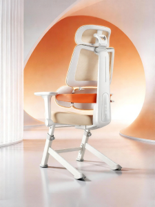 QIMIAOWU | Ergonomic Lumbar Support Spine Protective Student Chair